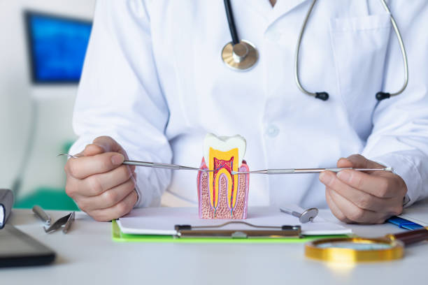 Best Orthodontic Emergency Dentist in Cudahy, CA